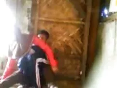 Las chicas fueron por un capullo de pornoo caminata